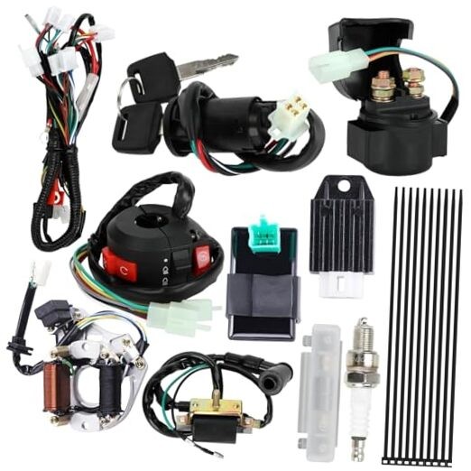 Complete Electrics Wiring Harness Kit for Coolster Tao Tao 125cc 110cc 70cc