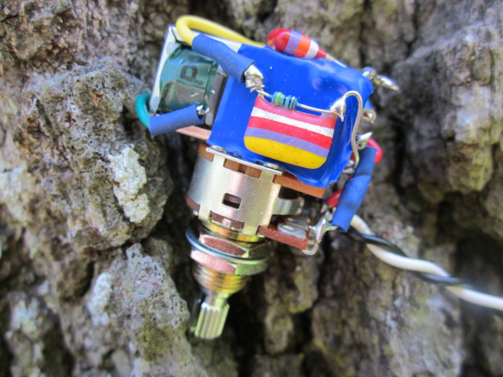 3 Way Tone pot Tropical Fish Bourns 500k Push/pull KellingSound