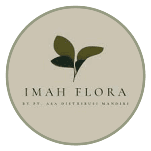 Imah-Flora
