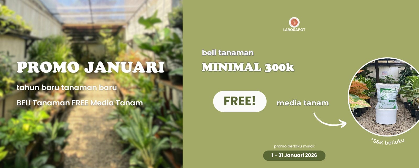 WhatsApp Image 2026-01-13 at 10.06.06