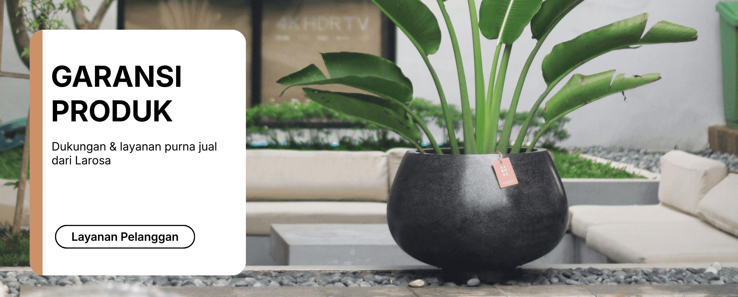 website (header) (5)