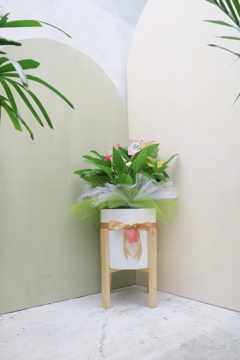 Hampers Larosa Pot