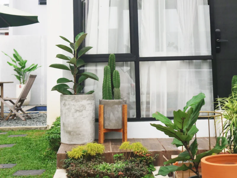 Pot Semen Rumah, Villa & Apartment 2