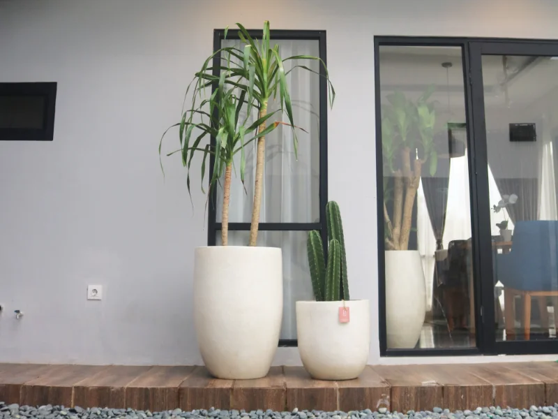 Pot Teraso Rumah, Villa & Apartment