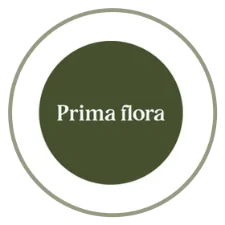 LANDSCAPE logo 2