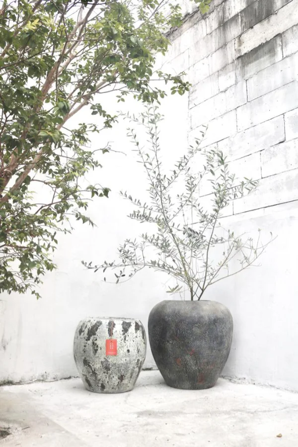 Rustic Larosa Pot