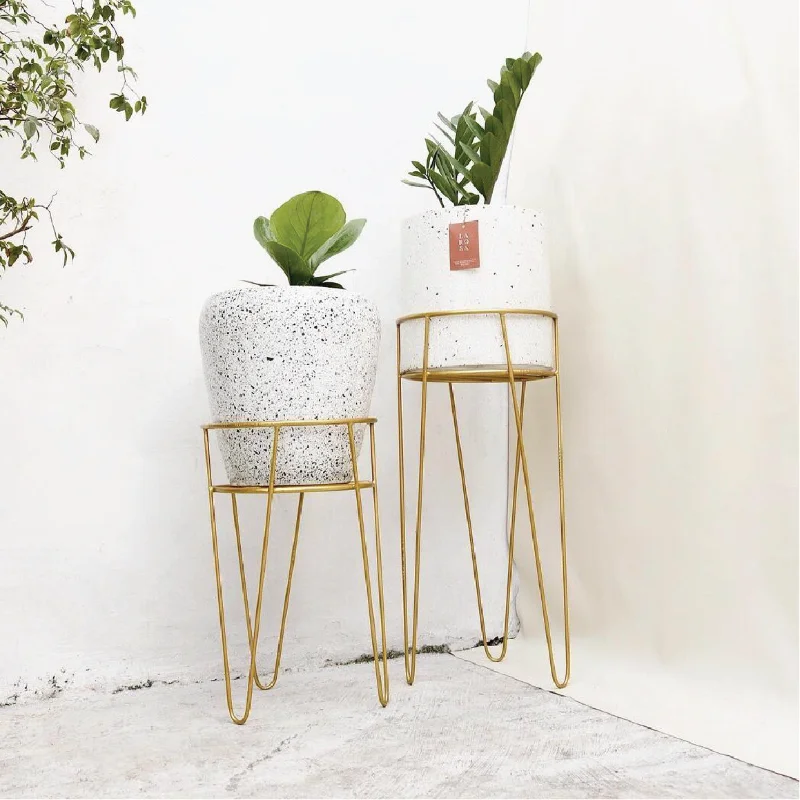 Standing Larosa Pot