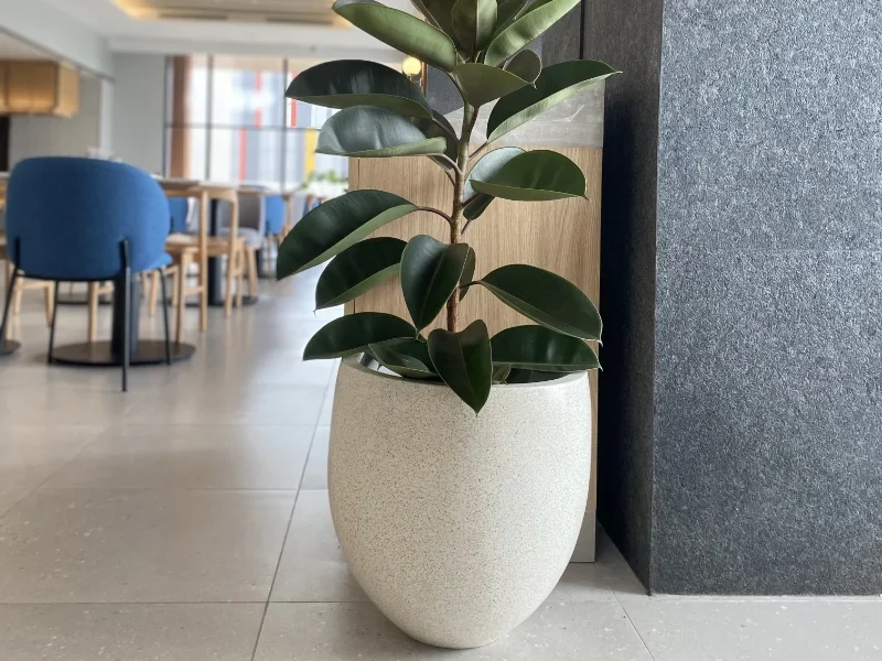 Pot Teraso Architect · Interior Designer · Developer Architect · Interior Designer · Developer